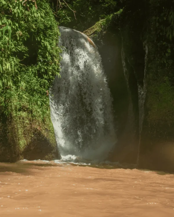 Río Abiseo y Catarata El Breo 2D-1N - Imagen 2