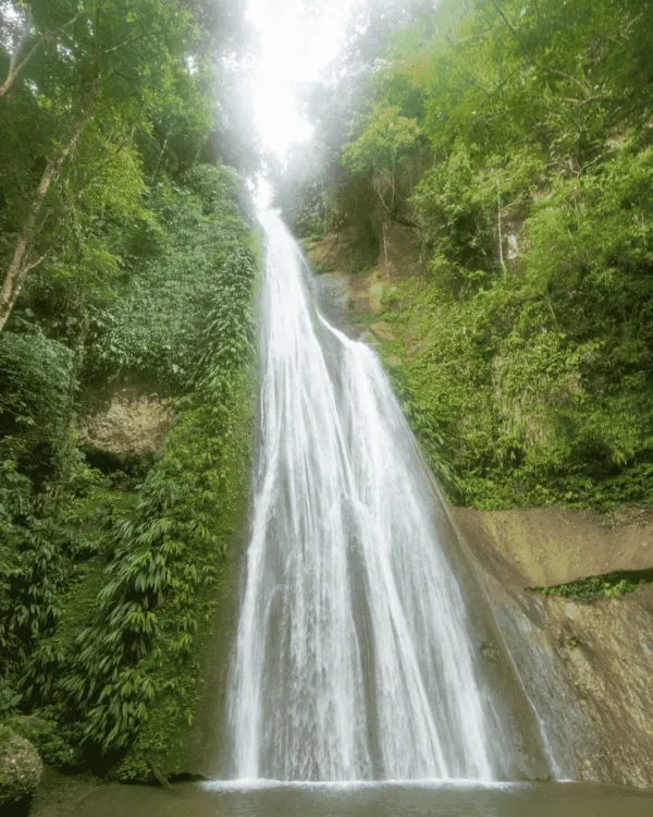 Río Abiseo y Catarata El Breo 2D-1N - Imagen 4