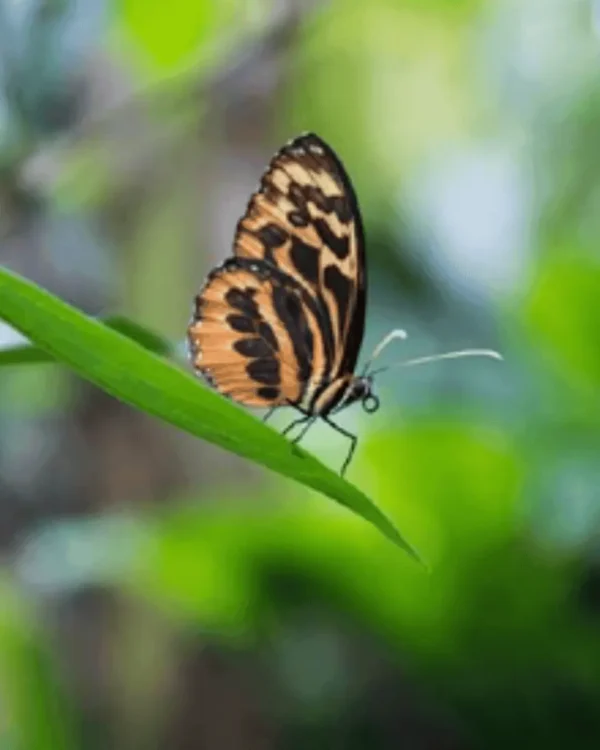 Full Day Naturaleza y Aventura - Imagen 4