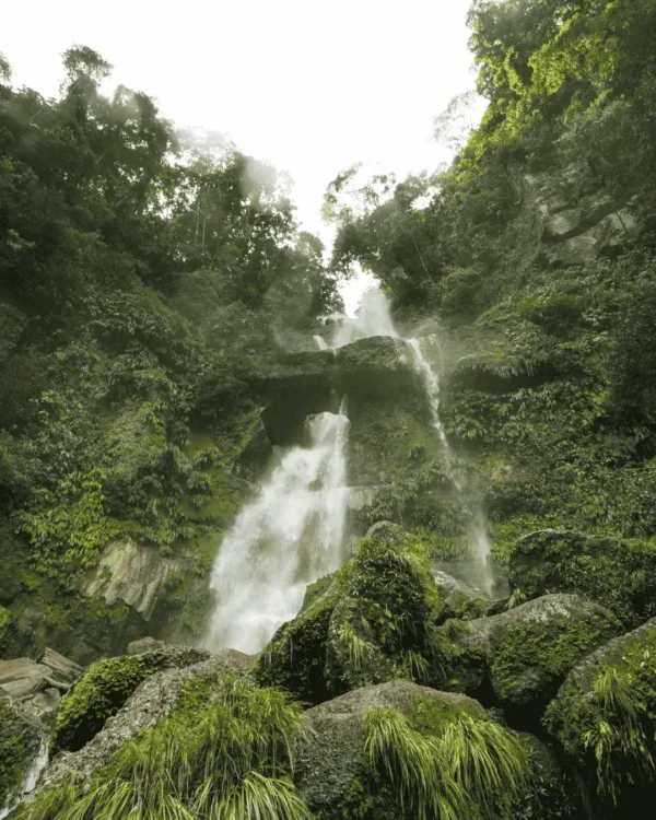 Parque Nacional del Río Abiseo 3D-2N - Imagen 2