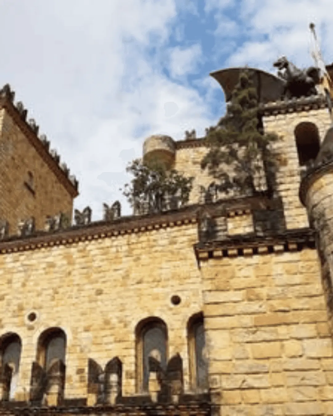 Full Day Lamas - Imagen 2