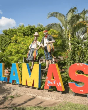 Full Day Lamas